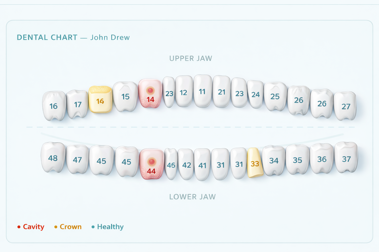 Dental Chart